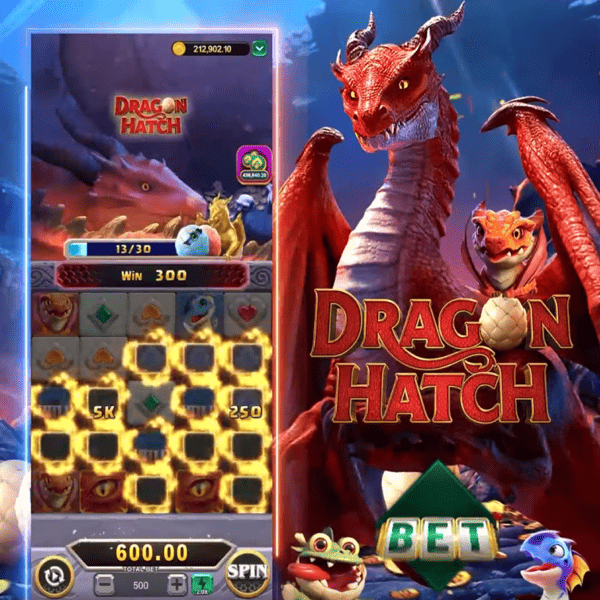 Recurso 1 do Dragon Hatch
