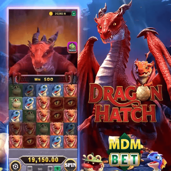 Recurso 5 do Dragon Hatch Recurso 5 do Dragon Hatch